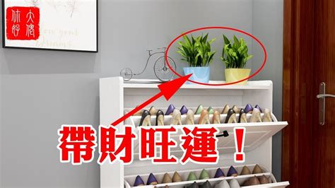 鞋櫃上放黃金葛|【鞋櫃風水】鞋櫃上千萬不能放的物品，有破財之患，。